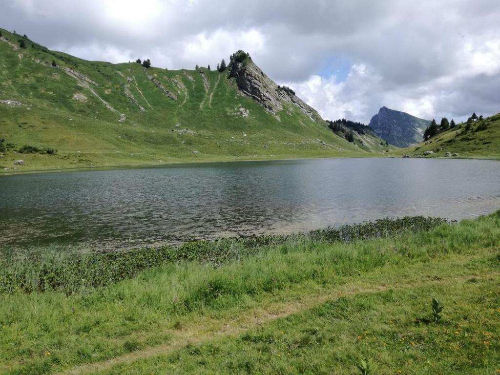 Le Genepi Appartement Taninges Buitenkant foto